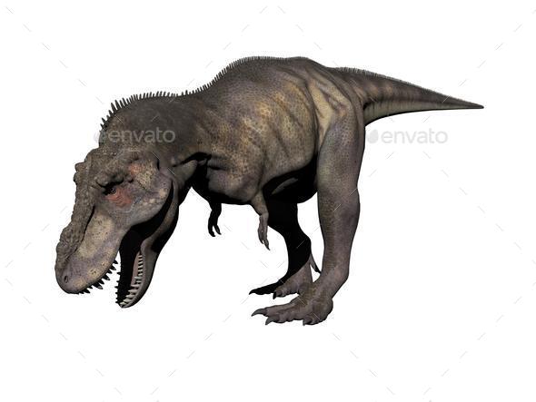 tyrannosaurus dinosaur - 3d render (Misc) Photo Download