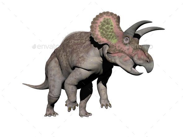 triceratops dinosaur - 3d render (Misc) Photo Download