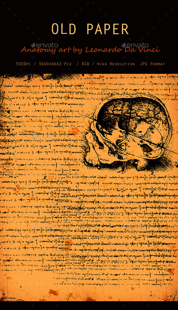 GraphicRiver Old Anatomy Art Texture 0111 10419107 GraphicRiver Old Anatomy Art Texture 0111 10419107