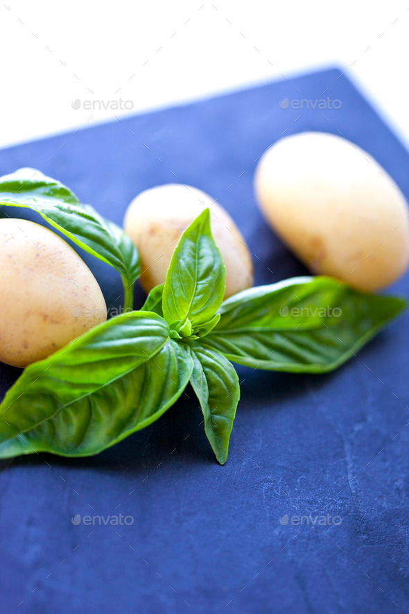 Potatoes and basil (Misc) Photo Download