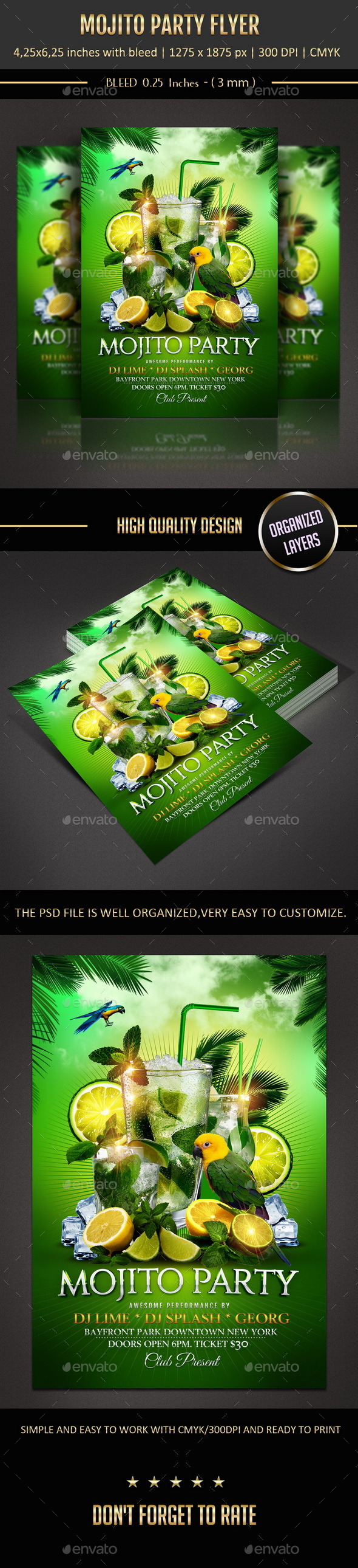 Mojito Party Flyer Mojito Party Flyer