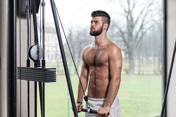 Young Man Exercising Triceps On Machine (Misc) Photo Download