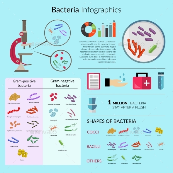 Bacteria Infographic Set (Infographics) Download ~ Best GFX Download