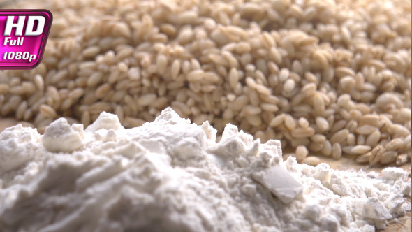 Stages of Origin of Flour Stages of Origin of Flour