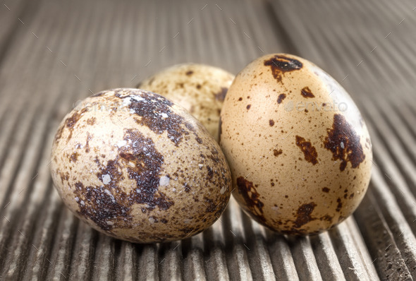 Quail eggs on wooden background closeup. (Misc) Photo Download