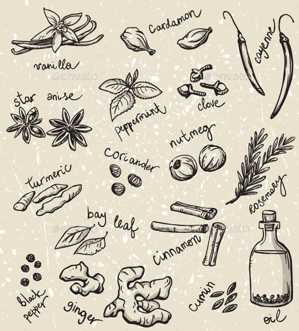 GraphicRiver Herbs and Spices 10440412 GraphicRiver Herbs and Spices 10440412