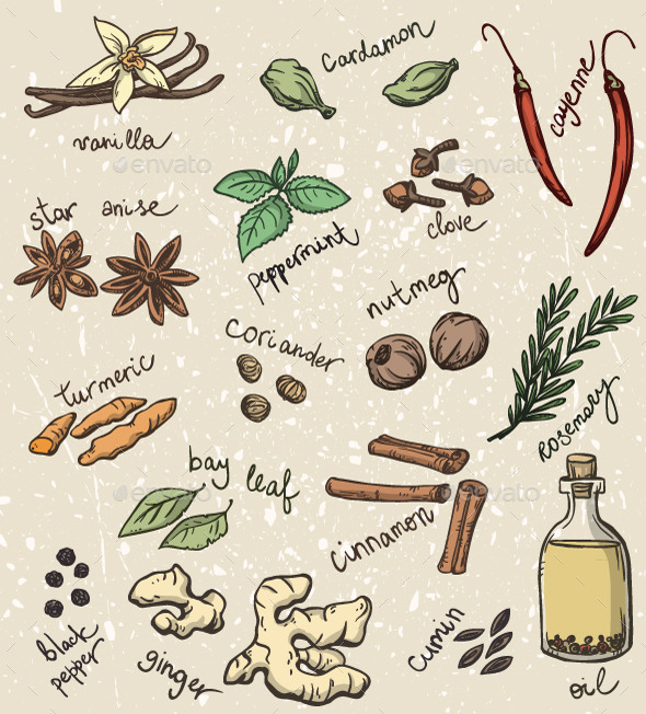 GraphicRiver Set of Spices and Herbs 10440413 GraphicRiver Set of Spices and Herbs 10440413