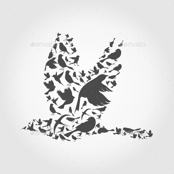 GraphicRiver Birds 10442146 GraphicRiver Birds 10442146
