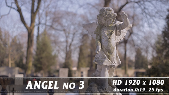 Angel No.3 Angel No.3