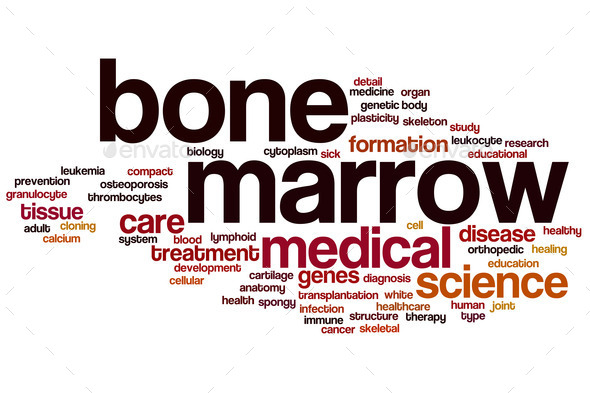 Bone marrow word cloud (Misc) Photo Download