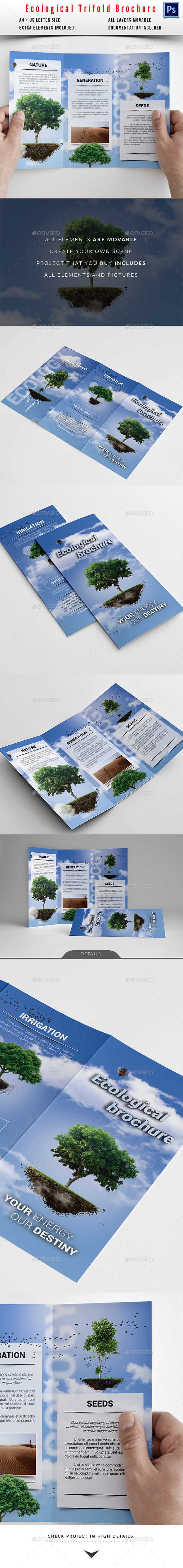 Eco / Cloud Trifold Brochure (Informational)