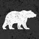 WildBearStudio