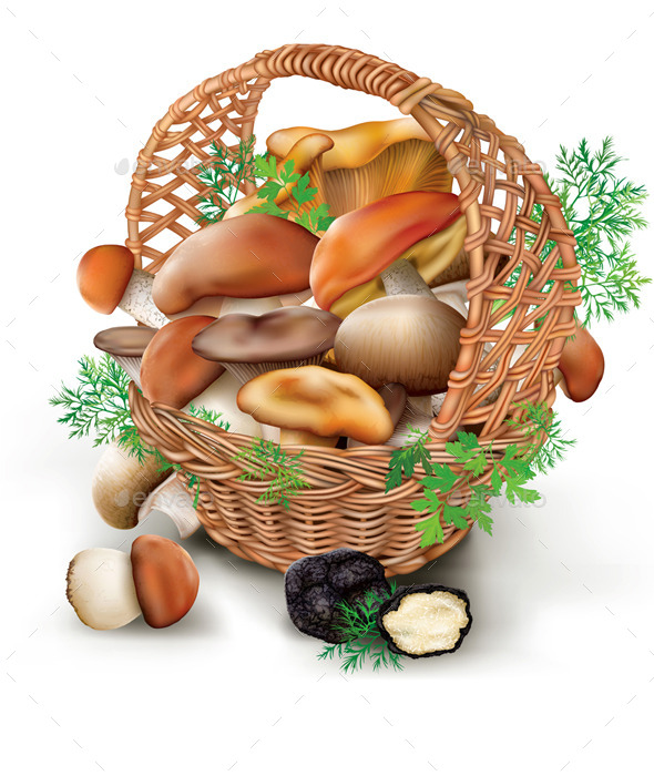GraphicRiver Mushrooms in a Wicker Basket 10453040 GraphicRiver Mushrooms in a Wicker Basket 10453040