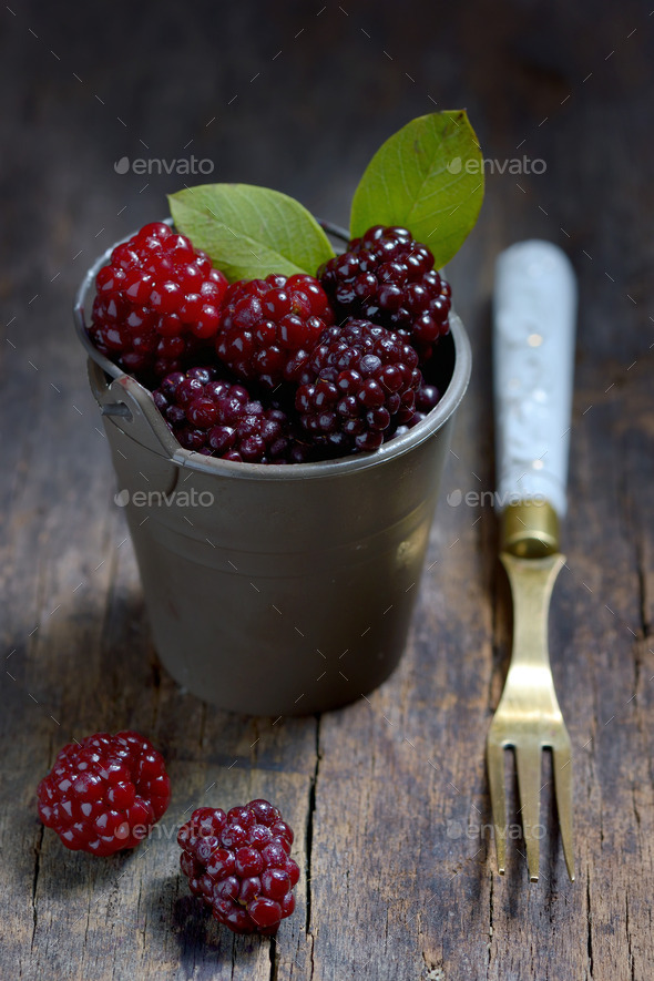 Fresh blackberries (Misc) Photo Download