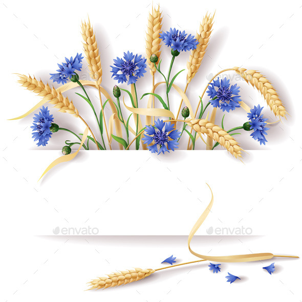 Wheat Ears and Cornflowers (Flowers & Plants)