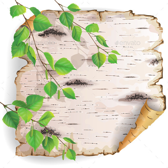 Piece of Birch Bark (Seasons)