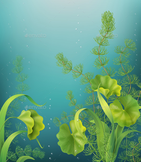 Underwater Background (Flowers & Plants)