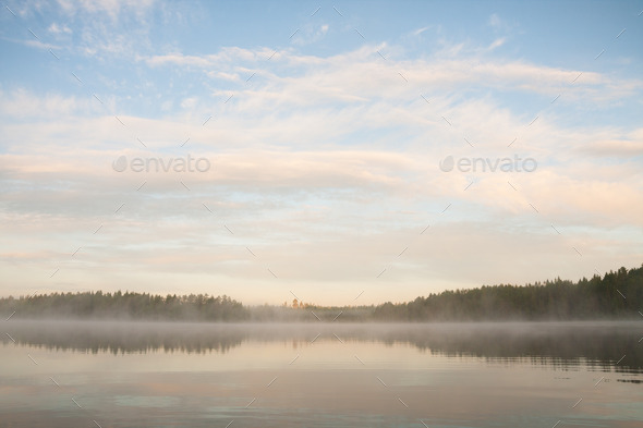 Forest at lakeside at foggy morning (Misc) Photo Download