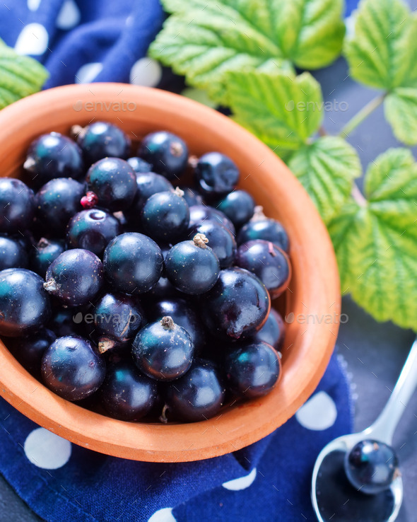 black currant (Misc) Photo Download