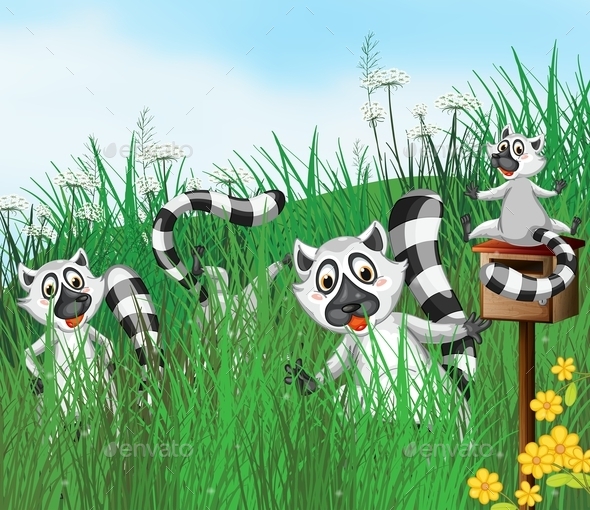 GraphicRiver A Ring-Tailed Lemur 10486017 GraphicRiver A Ring-Tailed Lemur 10486017