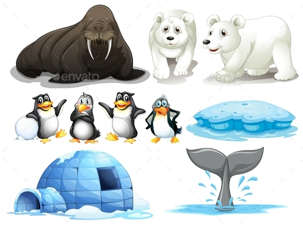 GraphicRiver Animals with Signboards 10486235 GraphicRiver Animals with Signboards 10486235