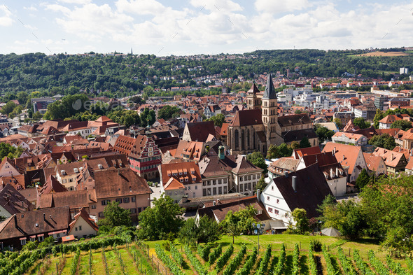 Beautiful geman city and wine fields (Misc) Photo Download