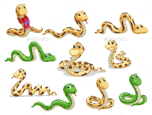 GraphicRiver A Group of Snakes 10487054 GraphicRiver A Group of Snakes 10487054