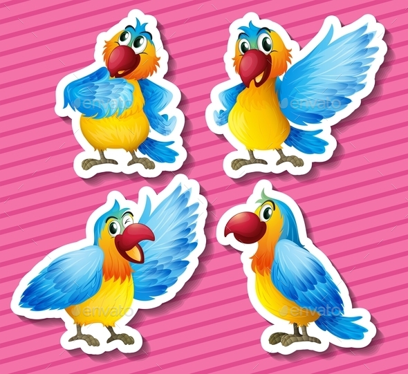 GraphicRiver Parrot 10487143 GraphicRiver Parrot 10487143