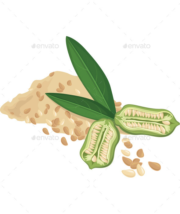 GraphicRiver Sesame Seeds and leaves 10199066 GraphicRiver Sesame Seeds and leaves 10199066