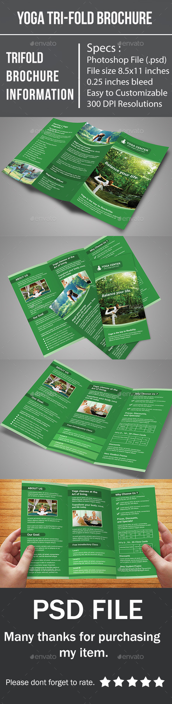 GraphicRiver Yoga Tri-Fold Brochure 10497370 GraphicRiver Yoga Tri-Fold Brochure 10497370