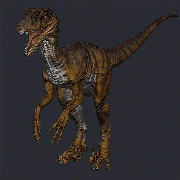 3DOcean Dino Raptor Red 10498329 3DOcean Dino Raptor Red 10498329
