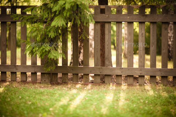 Sun shining through wooden fence (Misc) Photo Download