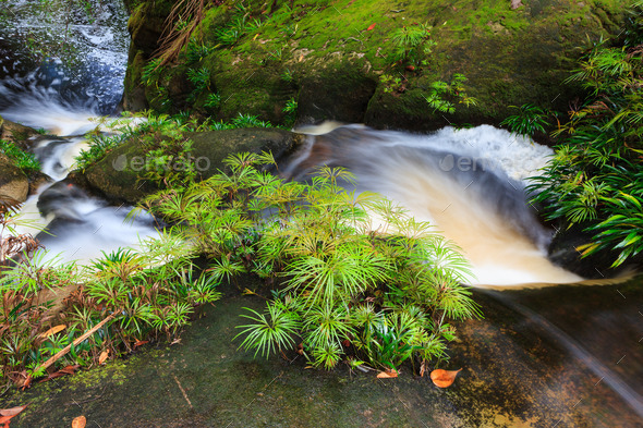 Small waterfall in jungle (Misc) Photo Download