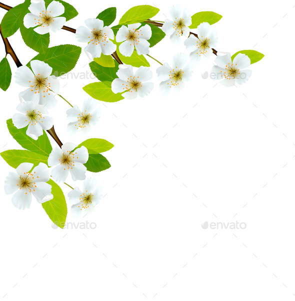 GraphicRiver Blossoming Tree Branch with Spring Flowers 10507392 GraphicRiver Blossoming Tree Branch with Spring Flowers 10507392