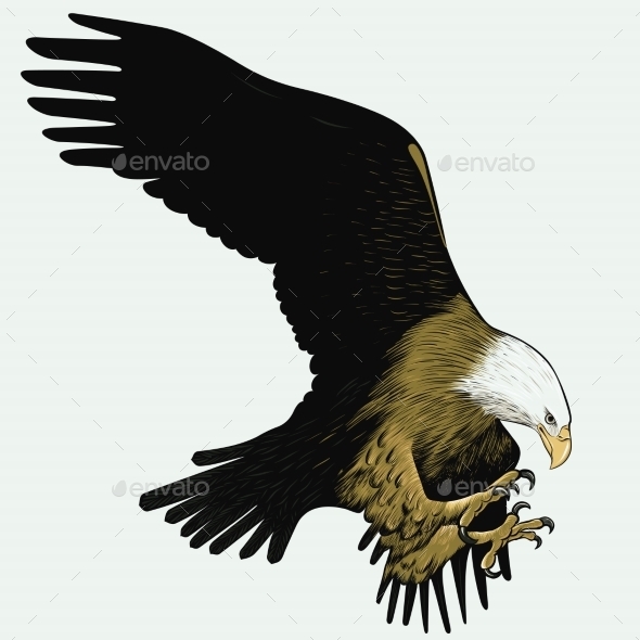 GraphicRiver Bald Eagle 10507702 GraphicRiver Bald Eagle 10507702