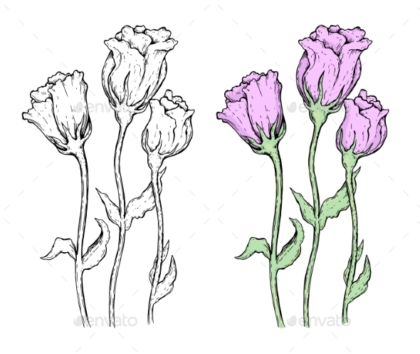 GraphicRiver Set of Flowers 10509616 GraphicRiver Set of Flowers 10509616