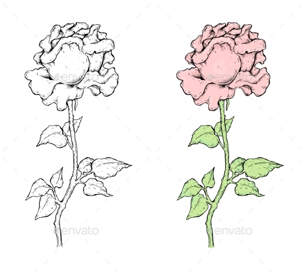 GraphicRiver Set of Flowers 10509618 GraphicRiver Set of Flowers 10509618