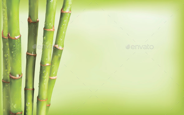 GraphicRiver Bamboo Background 10509856 GraphicRiver Bamboo Background 10509856