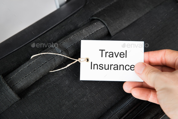 Hand Holding Travel Insurance Tag (Misc) Photo Download
