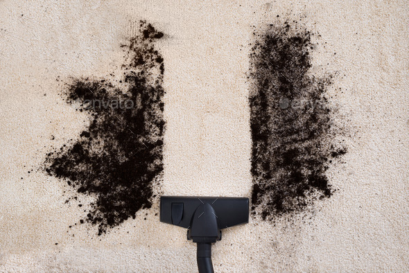 Vacuum Cleaner Cleaning Carpet (Misc) Photo Download