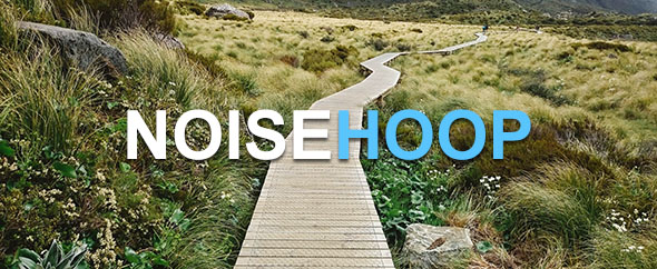 NoiseHoop
