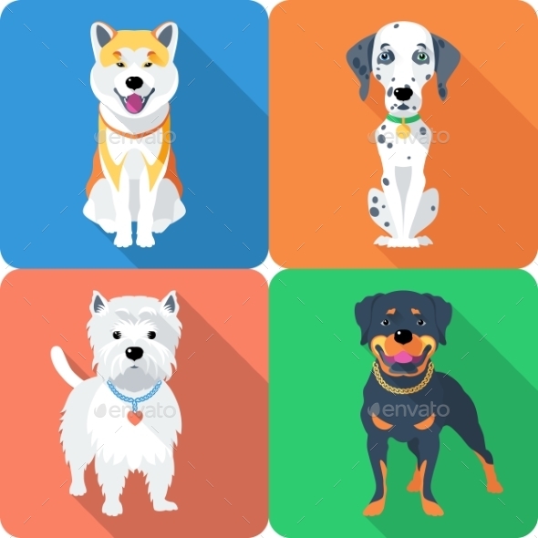 GraphicRiver Dog Akita Inu Dalmatian Rottweiler and West 10531895 GraphicRiver Dog Akita Inu Dalmatian Rottweiler and West 10531895