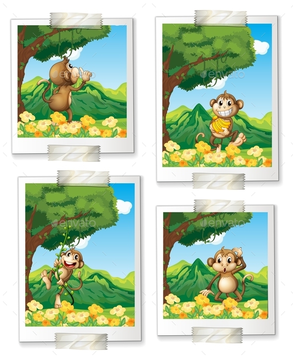 GraphicRiver Monkeys 10548769 GraphicRiver Monkeys 10548769