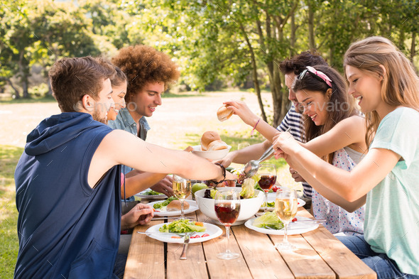 Happy friends in the park having lunch on a sunny day (Misc) Photo Download