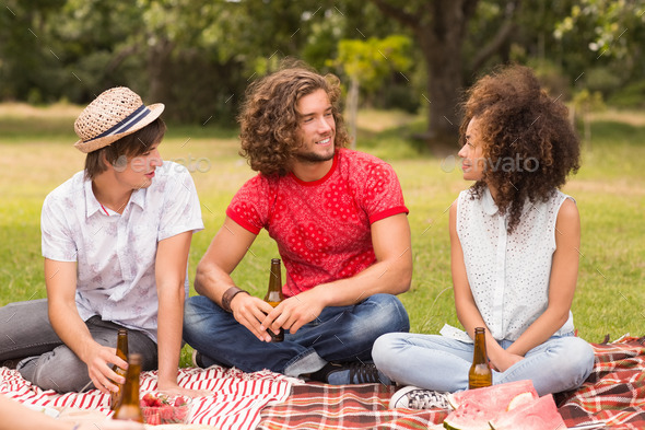 Happy friends in the park having picnic on a sunny day (Misc) Photo Download