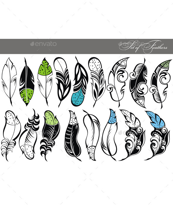 GraphicRiver Feather Collection 10562490 GraphicRiver Feather Collection 10562490