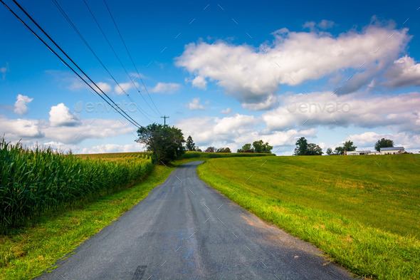 A country road in rural Baltimore County, Maryland. (Misc) Photo Download