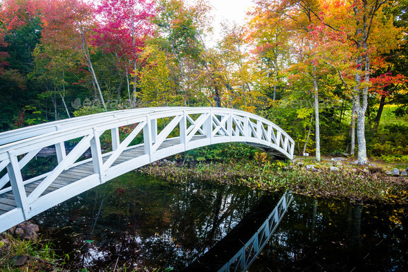 Autumn color and walking bridge over a pond in Somesville, Maine (Misc) Photo Download