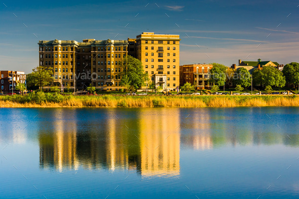 Buildings reflecting in Druid Lake, at Druid Hill Park in Baltim (Misc) Photo Download