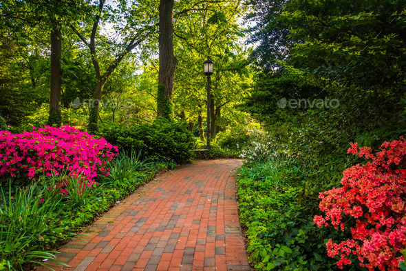 Brick path through a woodland garden at John Hopkins University (Misc) Photo Download